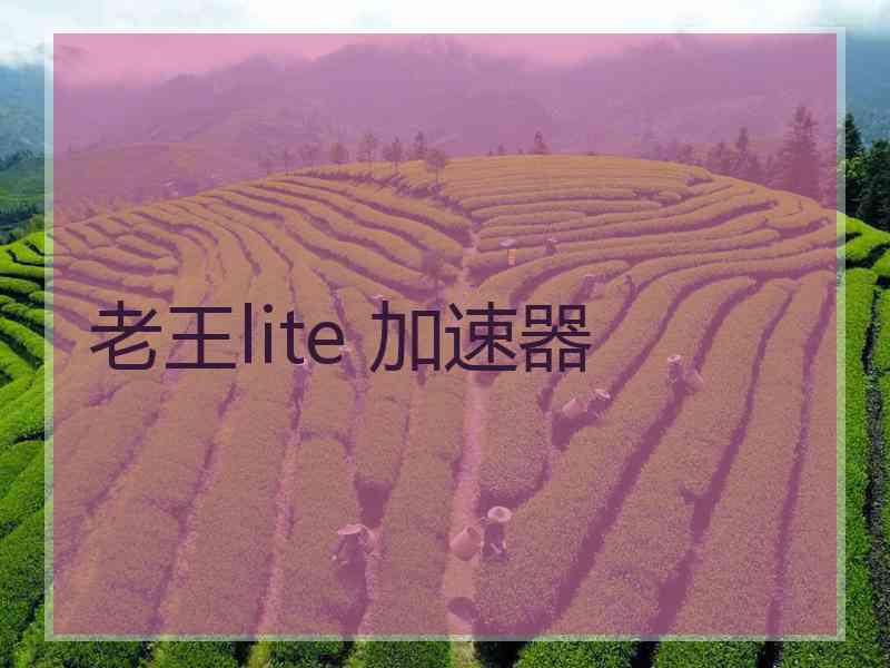 老王lite 加速器