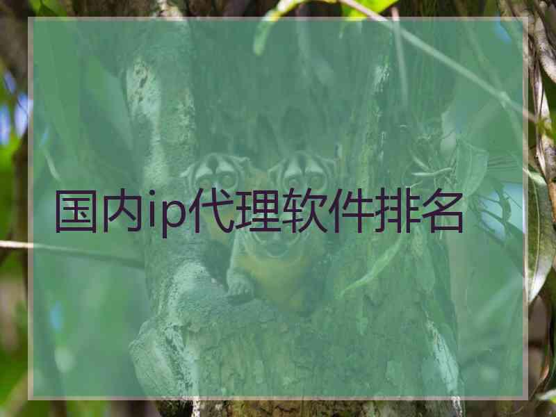 国内ip代理软件排名