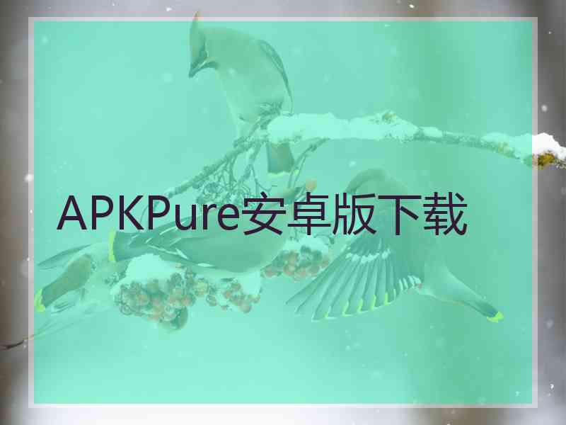 APKPure安卓版下载