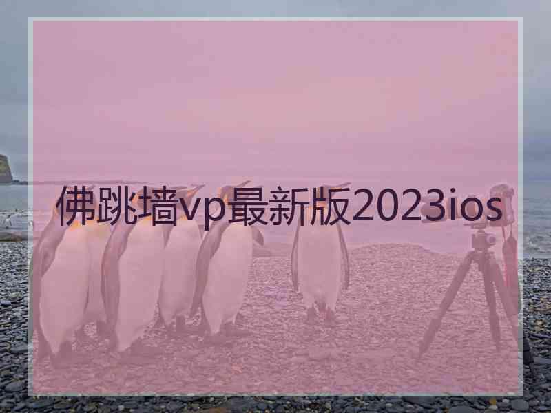 佛跳墙vp最新版2023ios