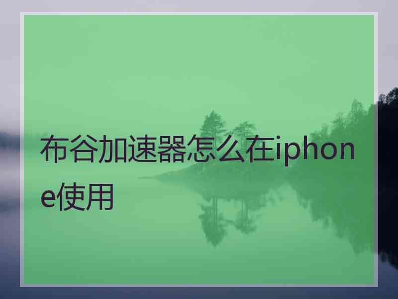 布谷加速器怎么在iphone使用