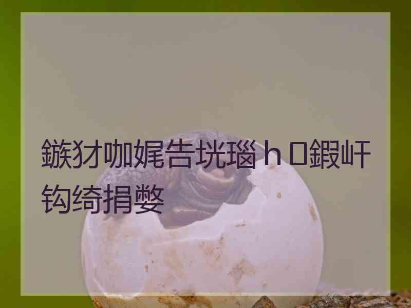 鏃犲咖娓告垙瑙ｈ鍜屽钩绮捐嫳