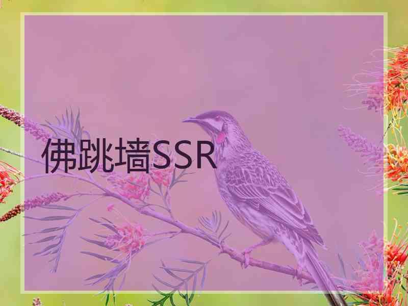 佛跳墙SSR