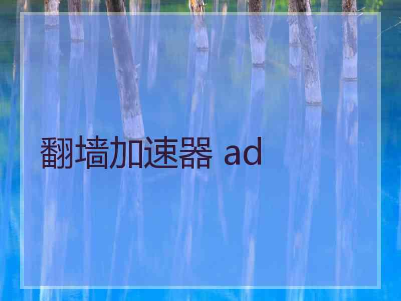 翻墙加速器 ad