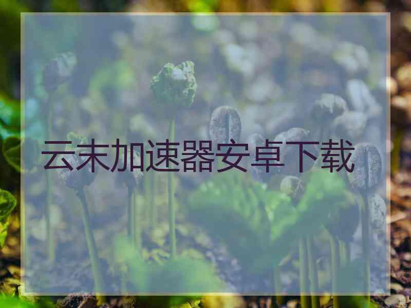 云末加速器安卓下载