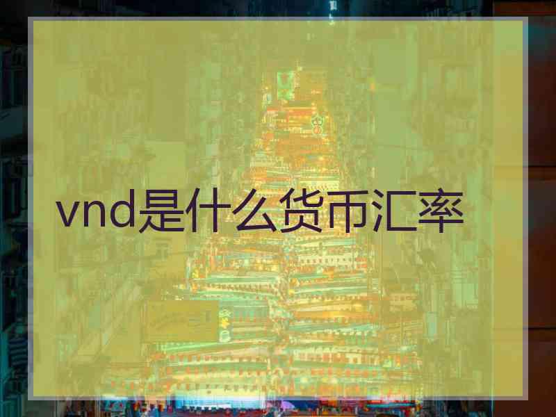 vnd是什么货币汇率