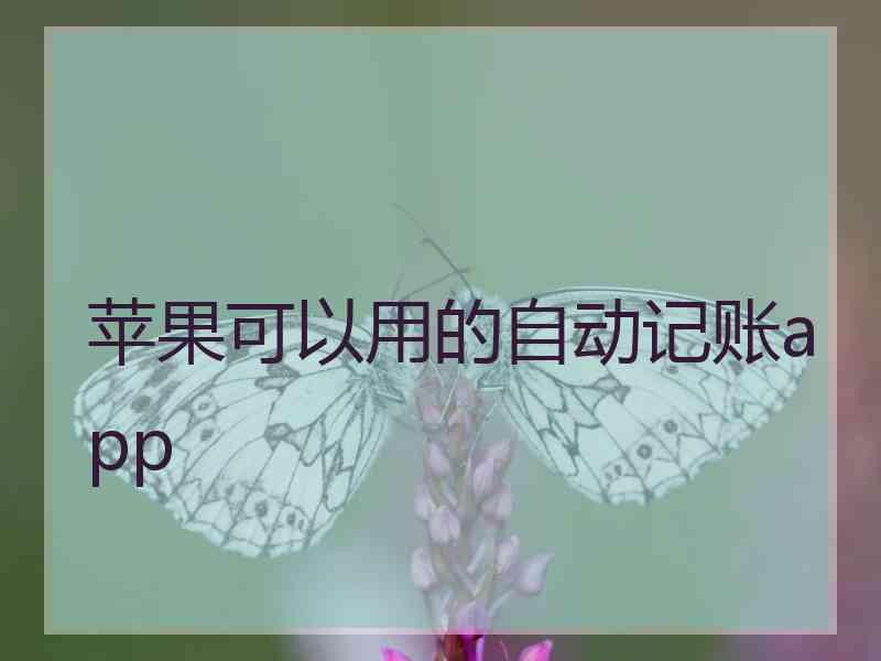 苹果可以用的自动记账app