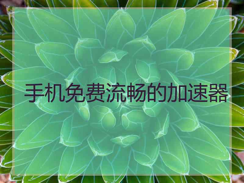 手机免费流畅的加速器