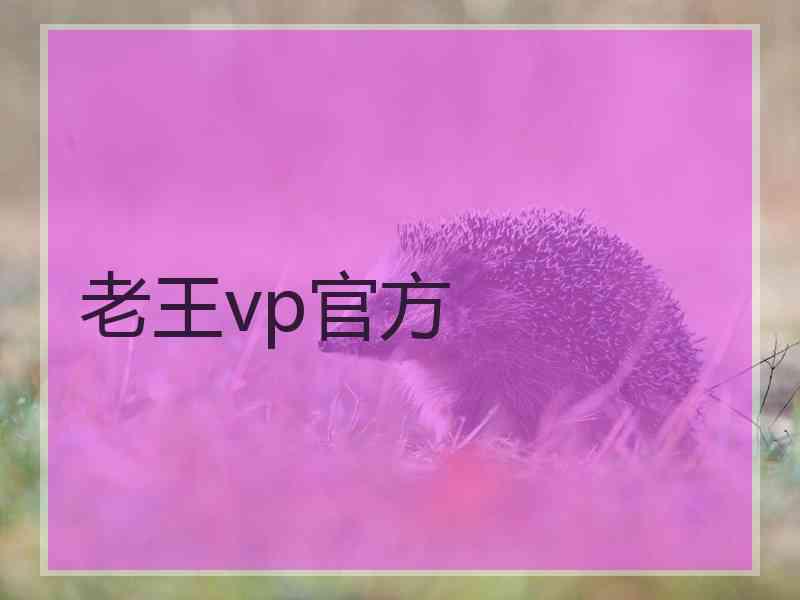 老王vp官方