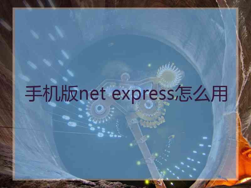 手机版net express怎么用