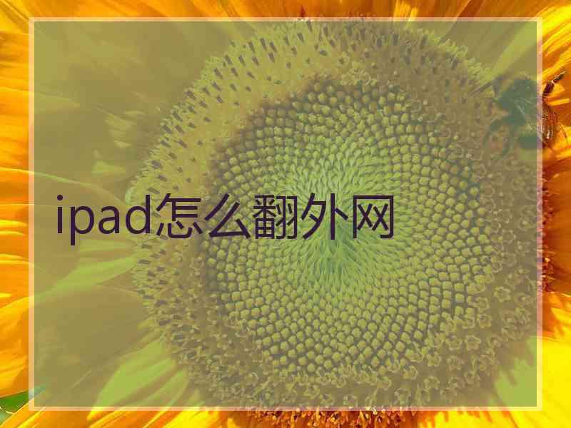 ipad怎么翻外网