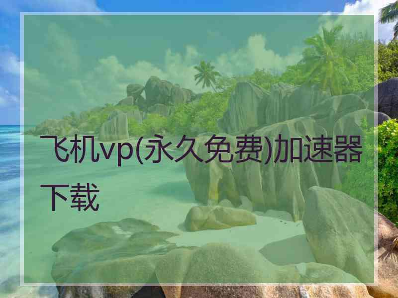 飞机vp(永久免费)加速器下载