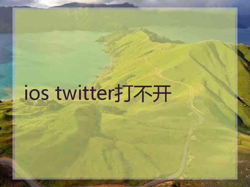 ios twitter打不开