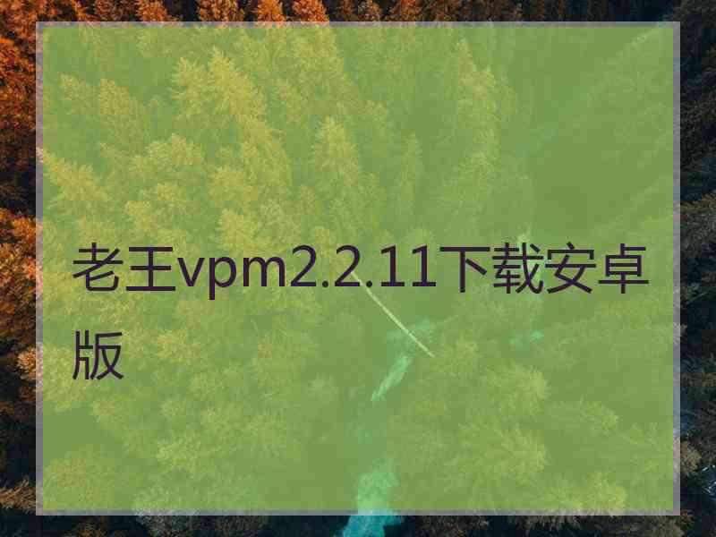 老王vpm2.2.11下载安卓版