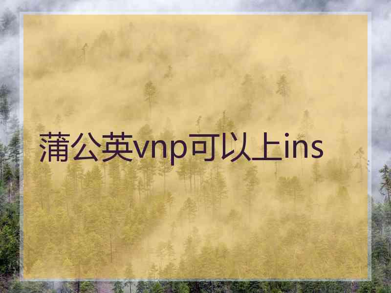 蒲公英vnp可以上ins