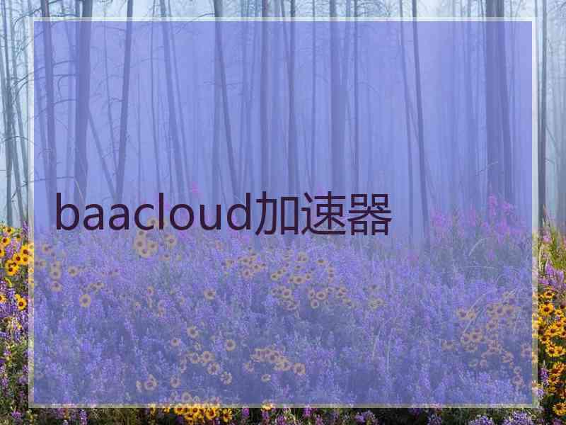 baacloud加速器