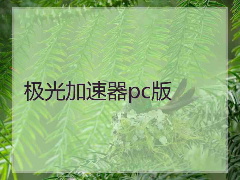 极光加速器pc版