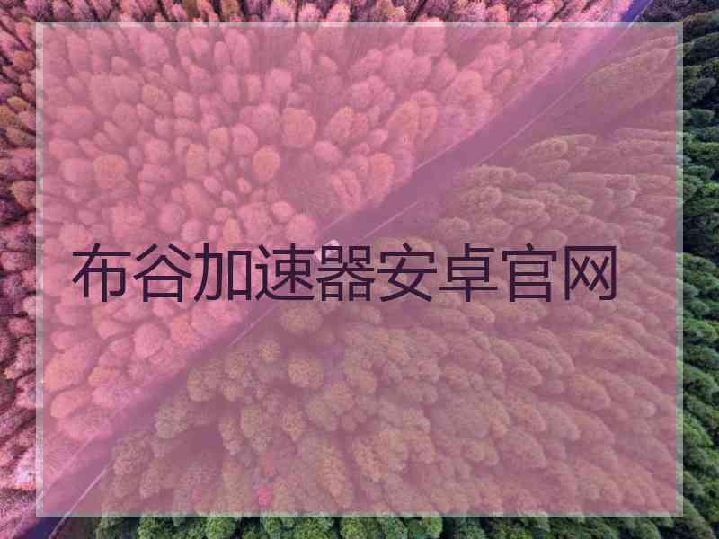 布谷加速器安卓官网