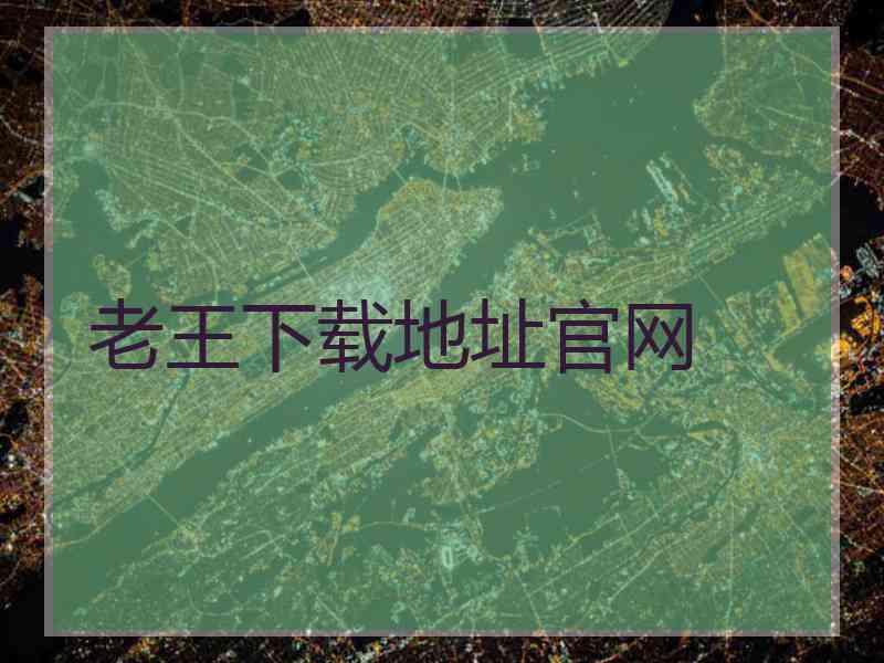 老王下载地址官网