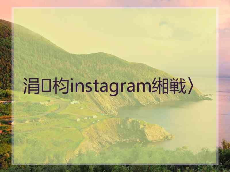 涓枃instagram缃戦〉