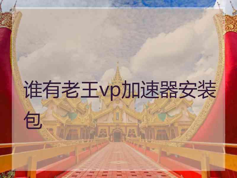 谁有老王vp加速器安装包