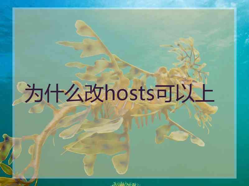 为什么改hosts可以上