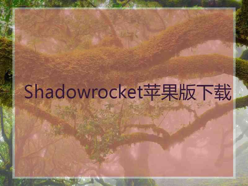 Shadowrocket苹果版下载