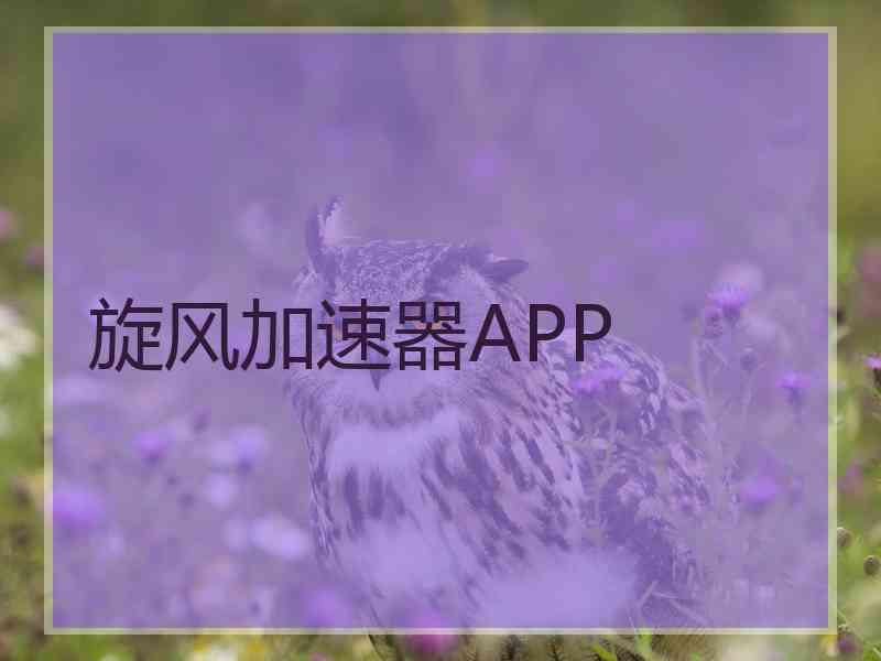 旋风加速器APP