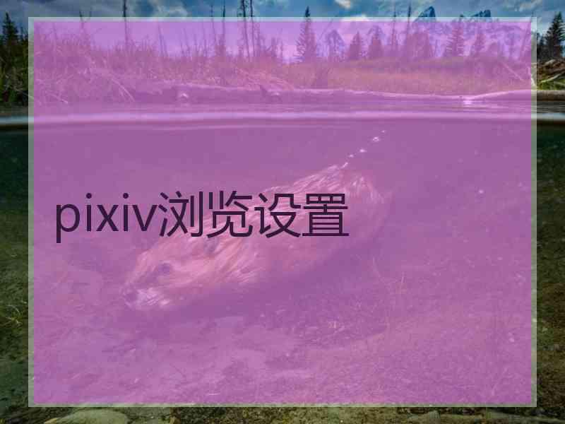 pixiv浏览设置