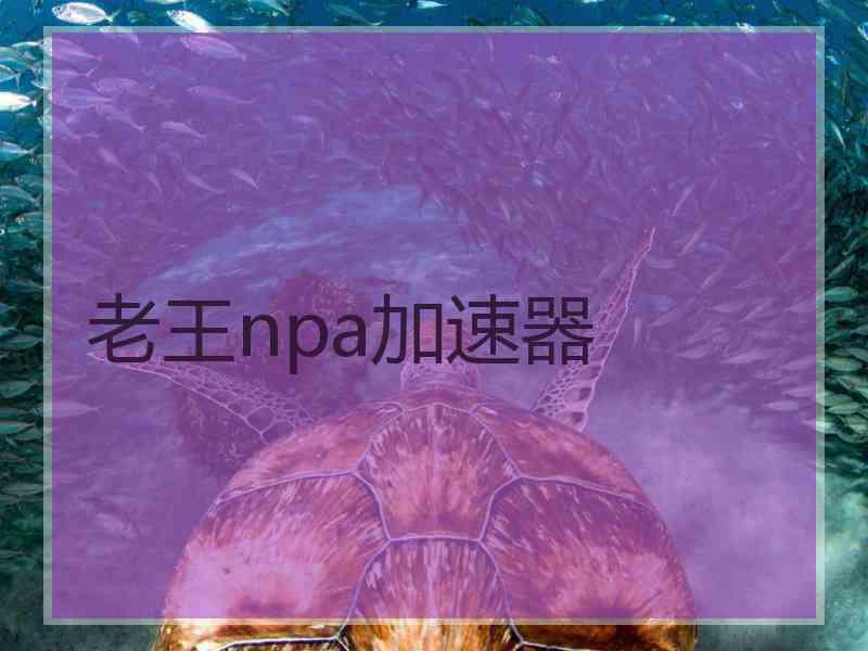 老王npa加速器