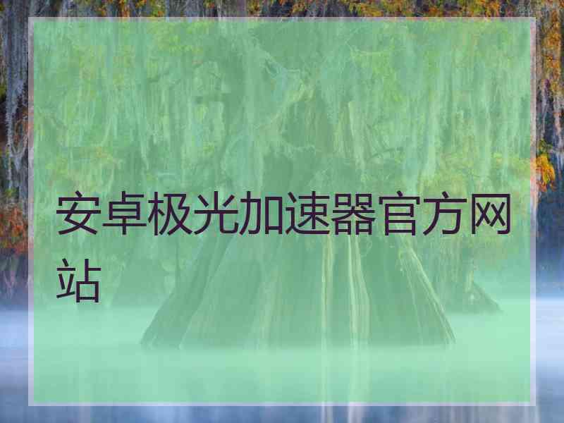 安卓极光加速器官方网站