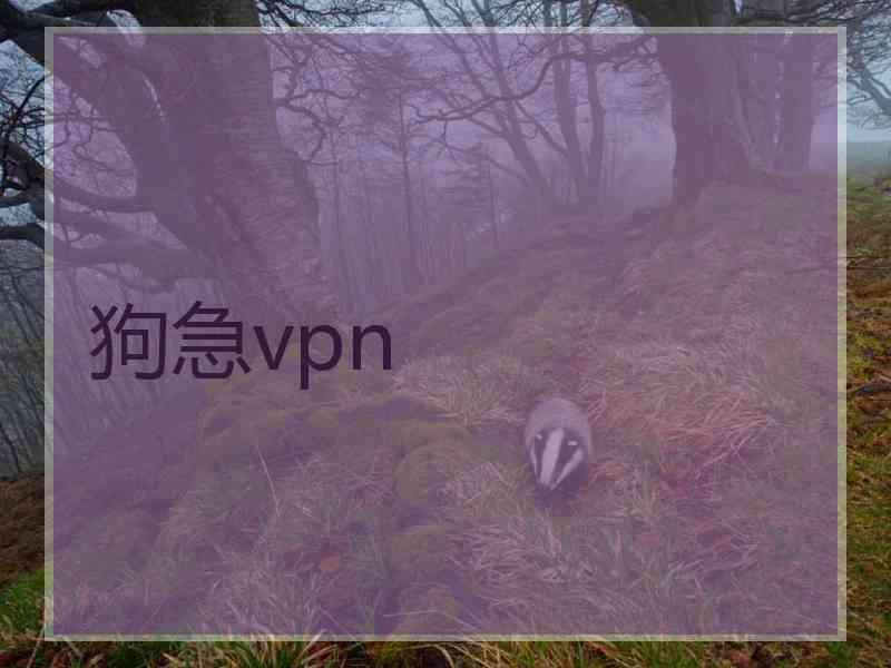 狗急vpn