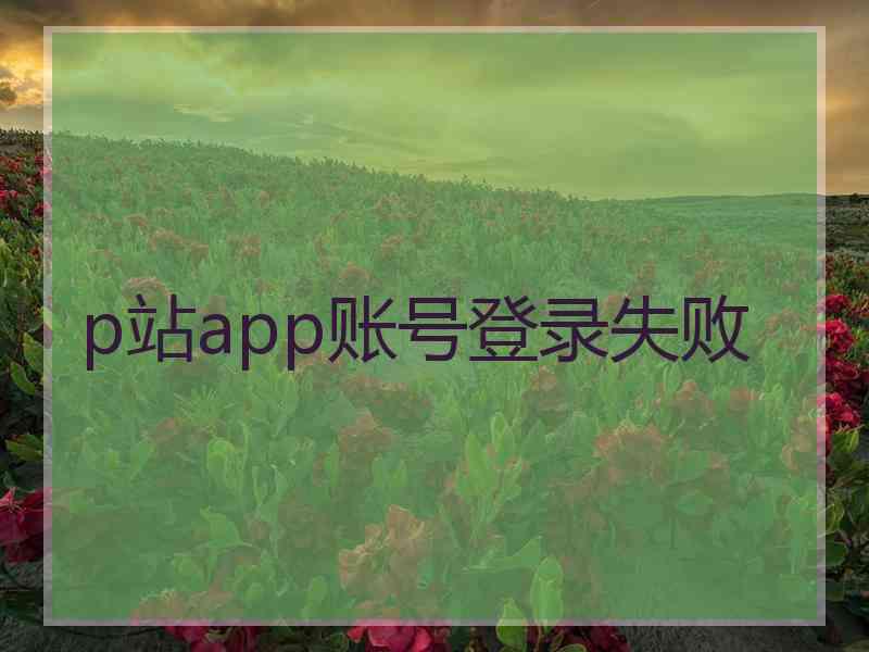 p站app账号登录失败