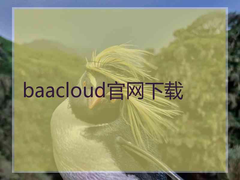 baacloud官网下载