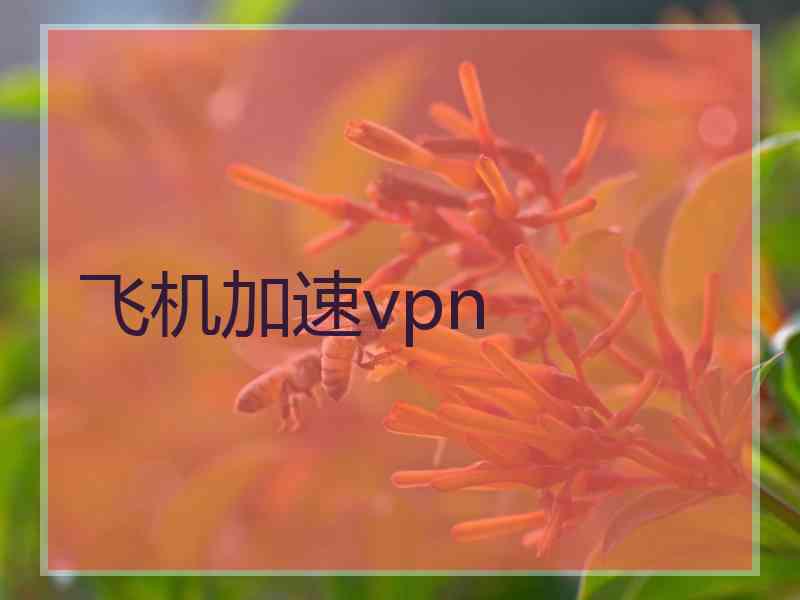 飞机加速vpn