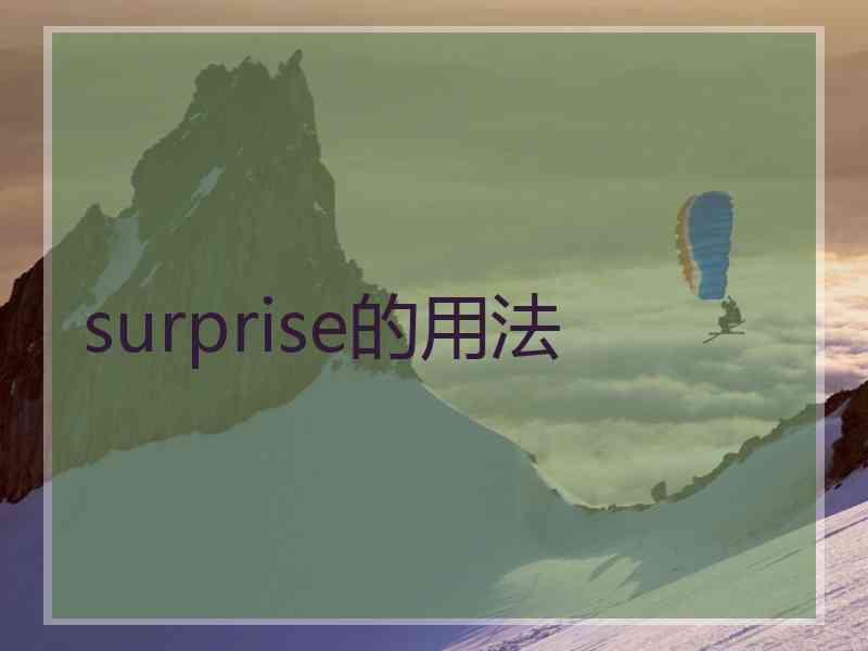 surprise的用法