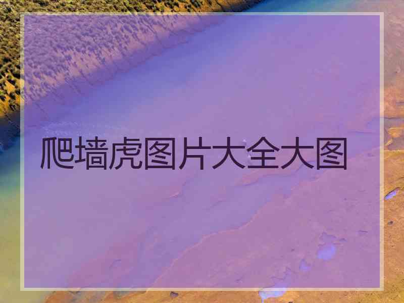 爬墙虎图片大全大图