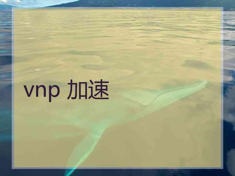 vnp 加速