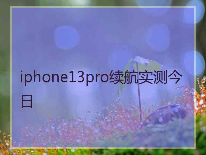 iphone13pro续航实测今日