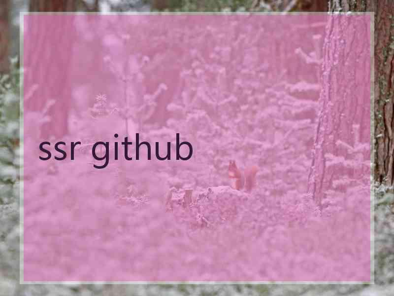 ssr github