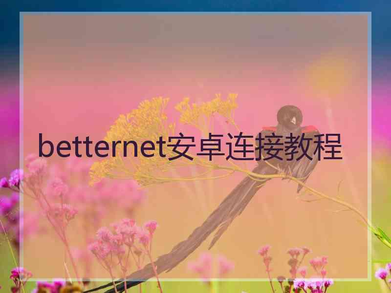 betternet安卓连接教程