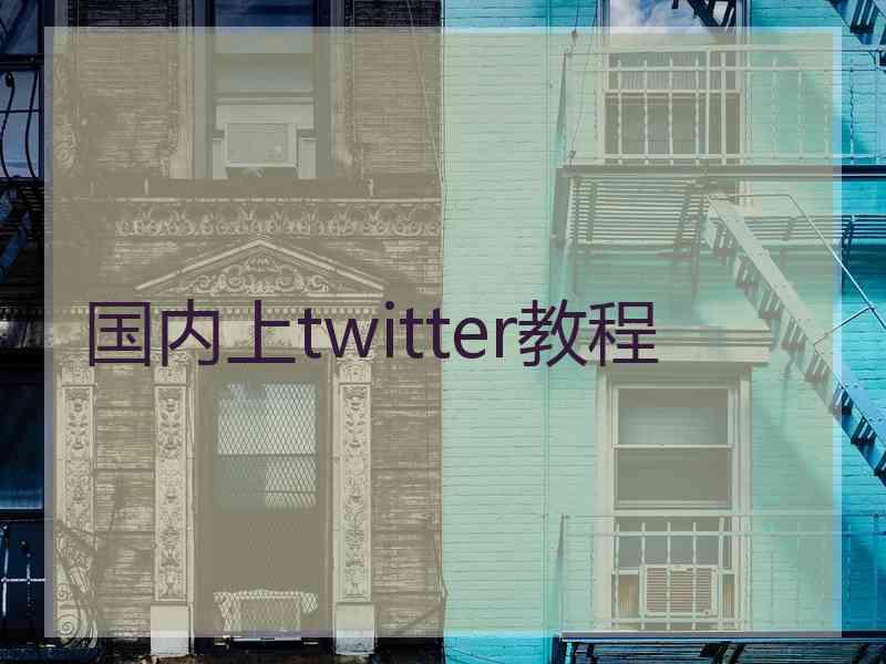 国内上twitter教程