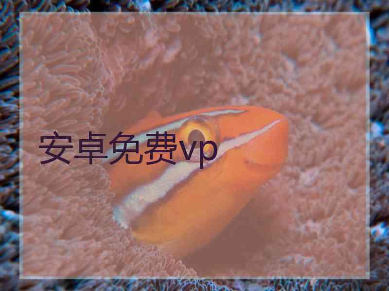 安卓免费vp