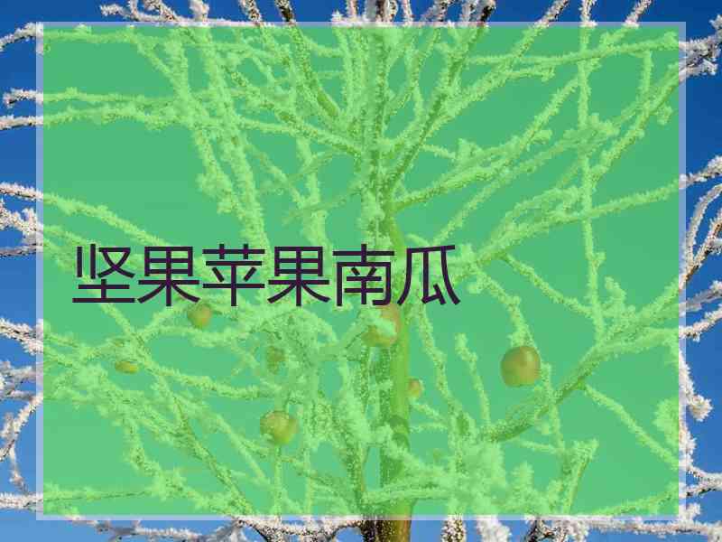 坚果苹果南瓜