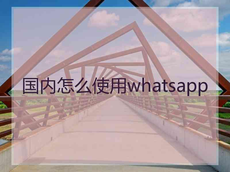 国内怎么使用whatsapp