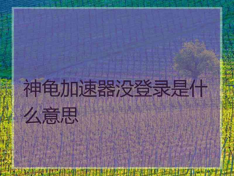 神龟加速器没登录是什么意思