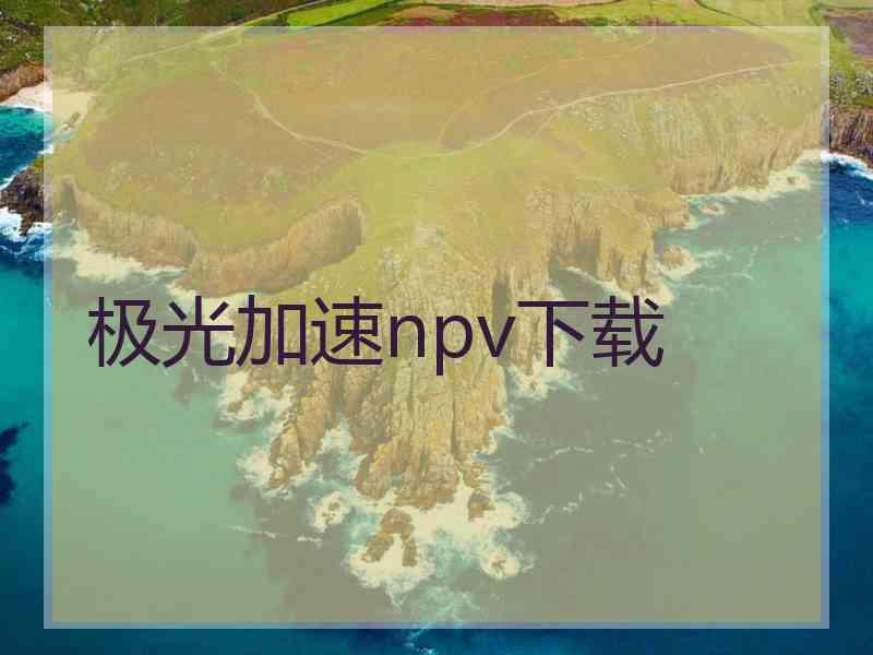 极光加速npv下载