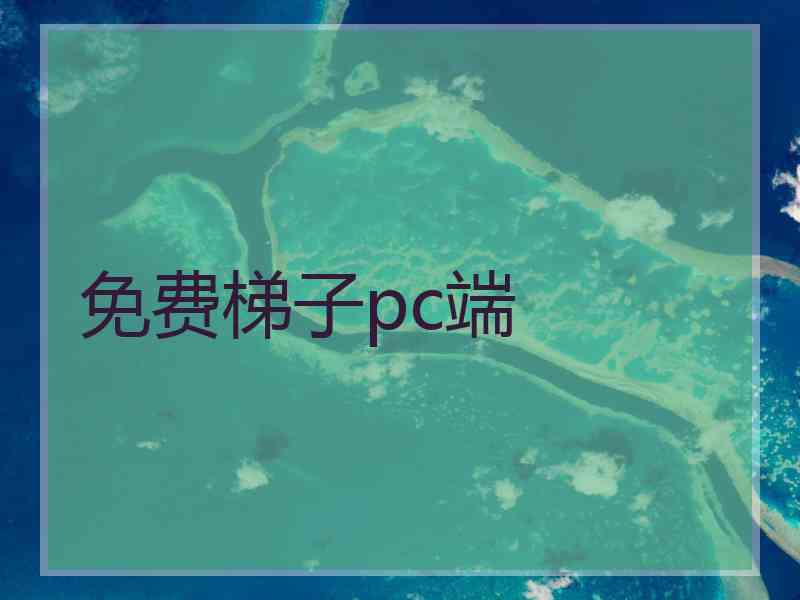 免费梯子pc端