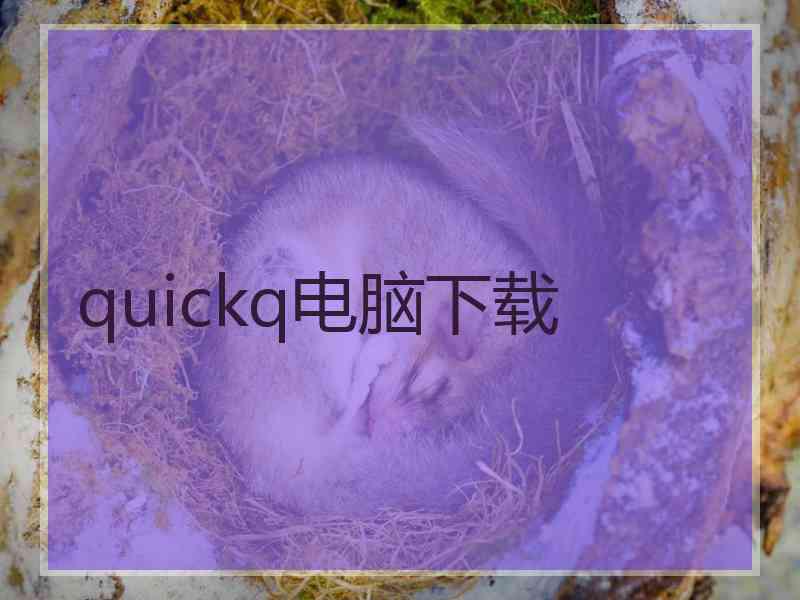 quickq电脑下载