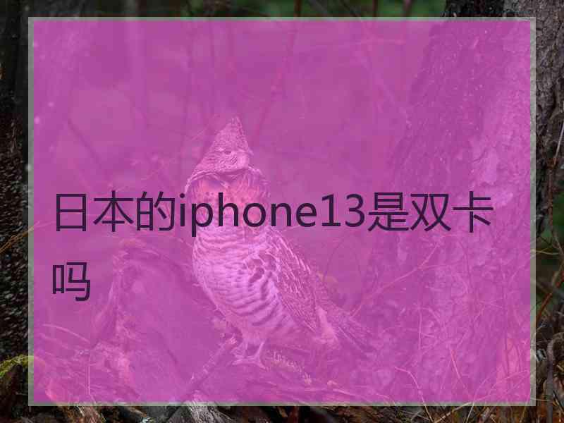 日本的iphone13是双卡吗